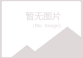 嘉峪关夜山机械有限公司